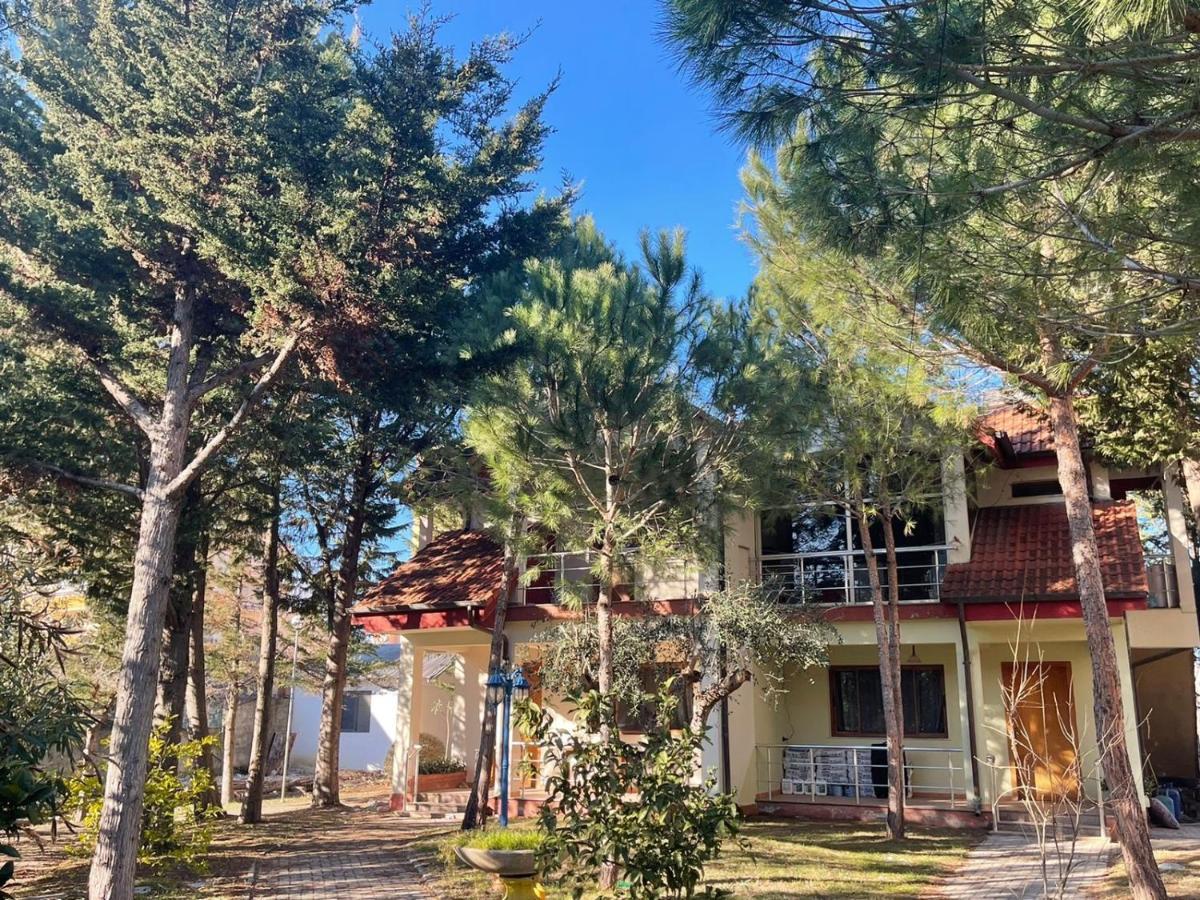 Hotel Garden Villa Ardo Golem  Extérieur photo